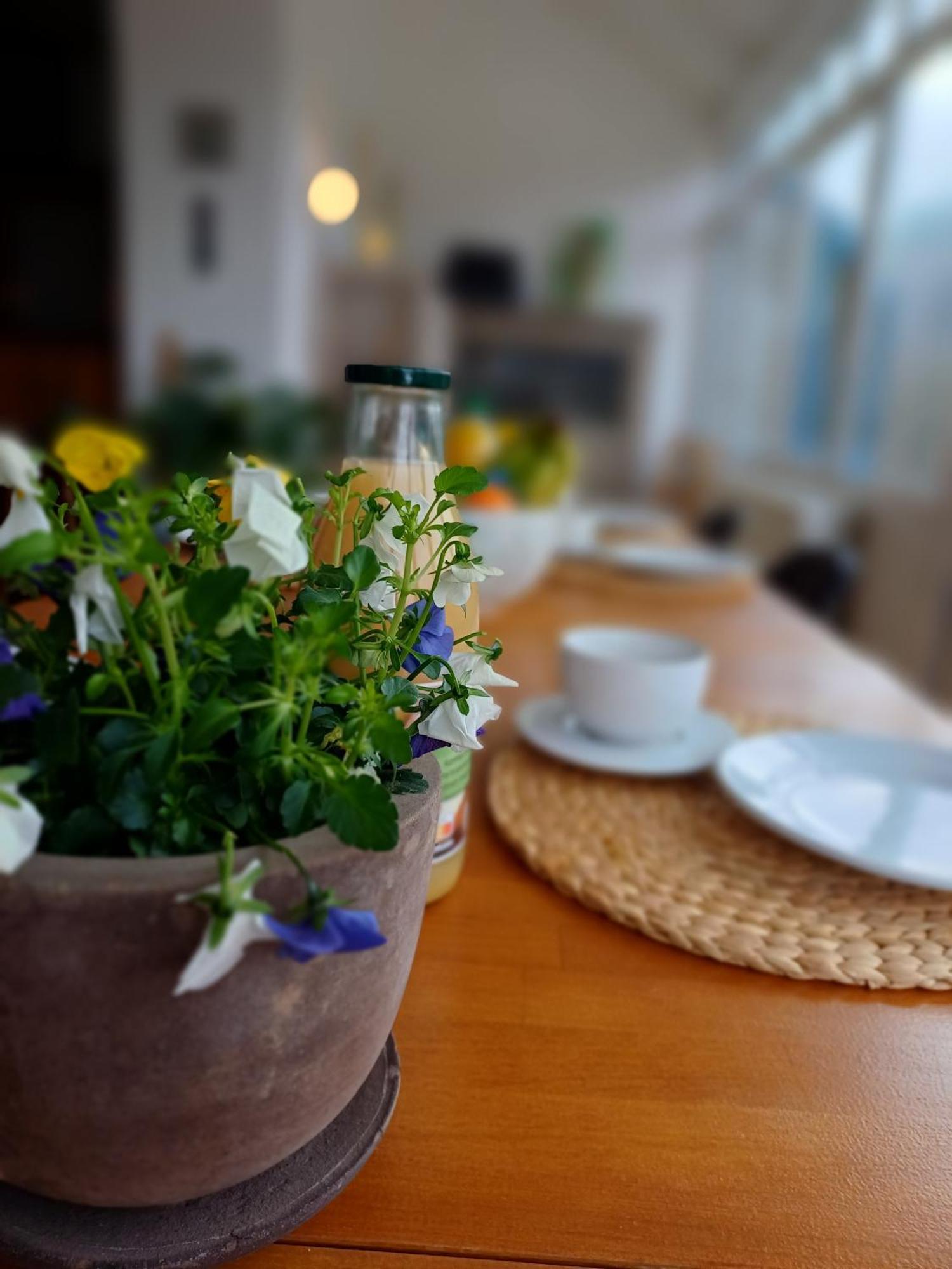 Gite Villa Le Monde - La-Roche-en-Ardenne Ngoại thất bức ảnh