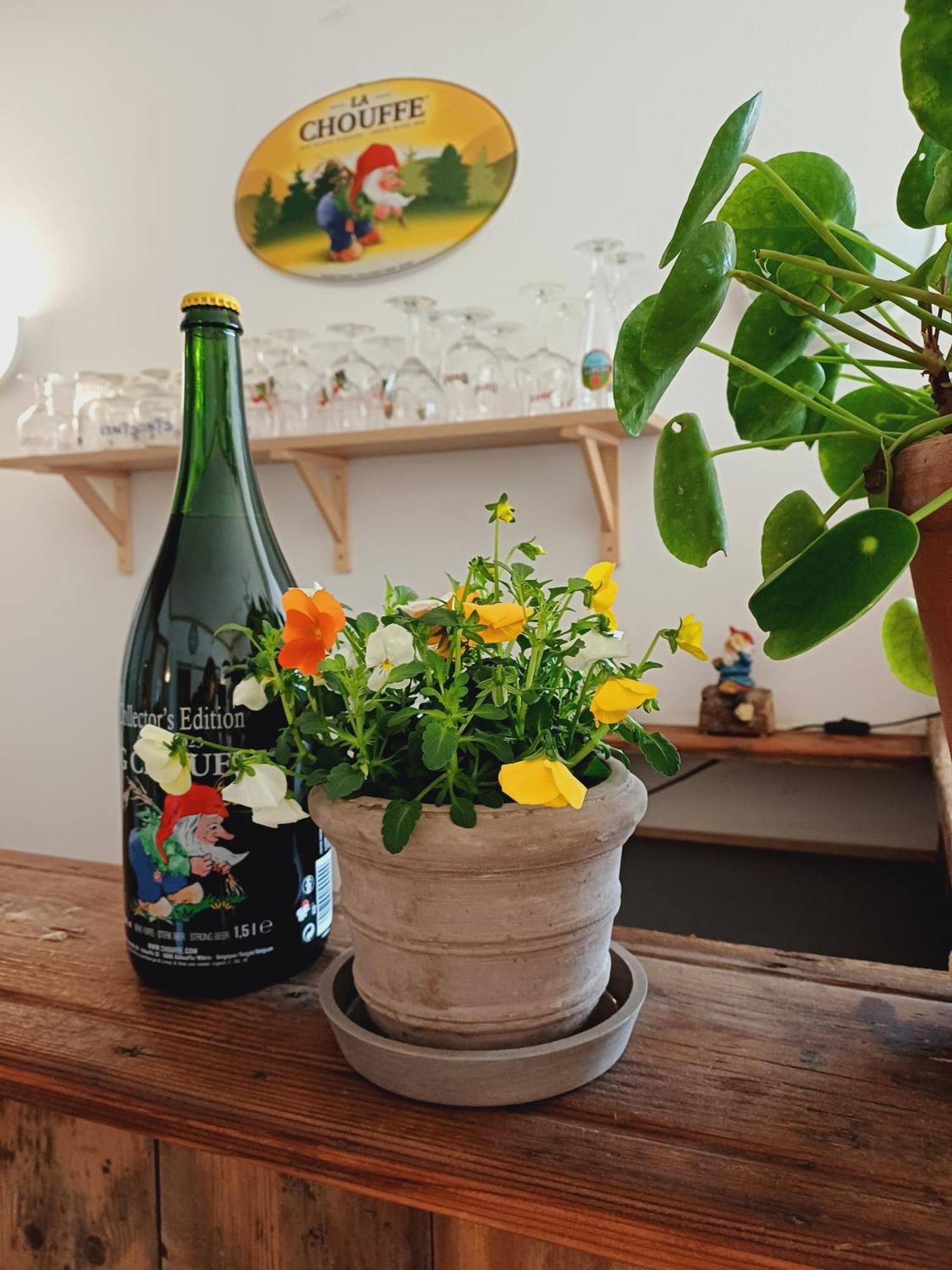 Gite Villa Le Monde - La-Roche-en-Ardenne Ngoại thất bức ảnh