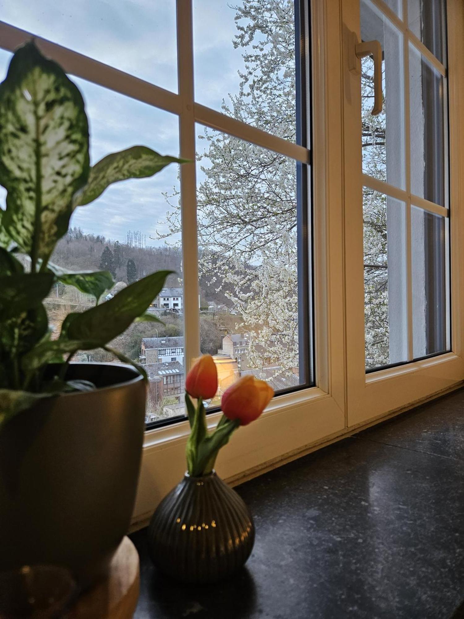 Gite Villa Le Monde - La-Roche-en-Ardenne Ngoại thất bức ảnh